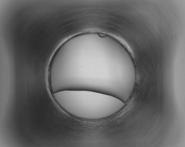 X0000102290903200807250958