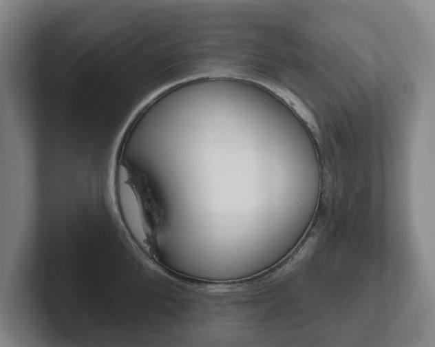 X0000102290904200807250958