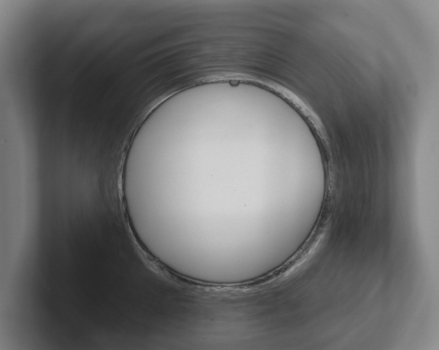 X0000102290905200807250958