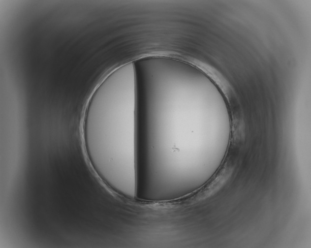 X0000102290906200807250958