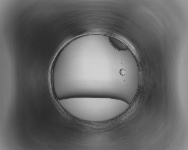 X0000102290907200807250958