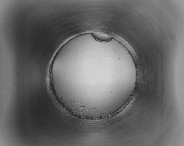 X0000102290908200807250958