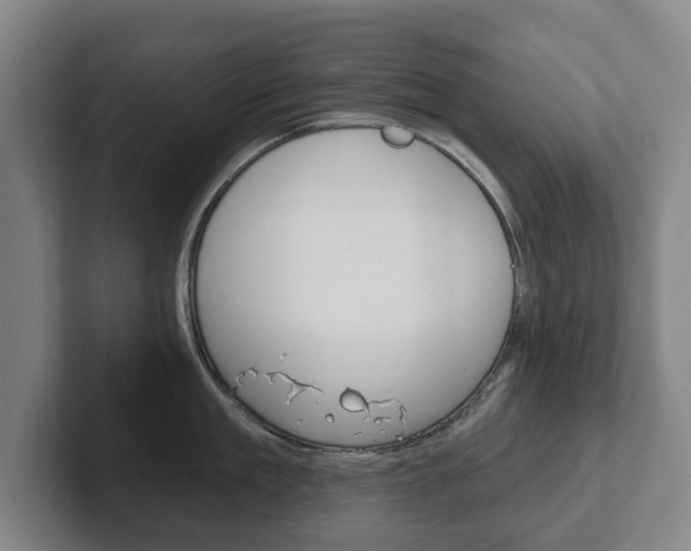 X0000102290909200807250958