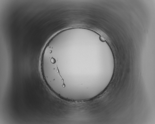 X0000102290912200807250958