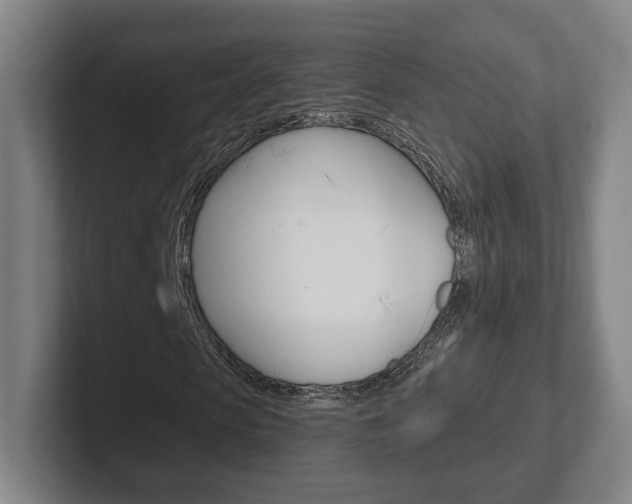 X0000102290913200807250958