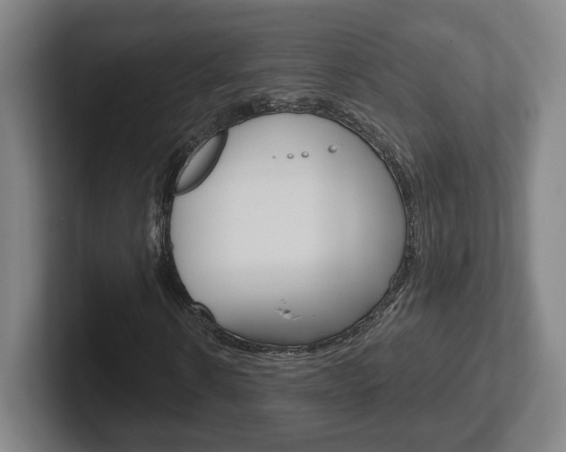 X0000102290914200807250958