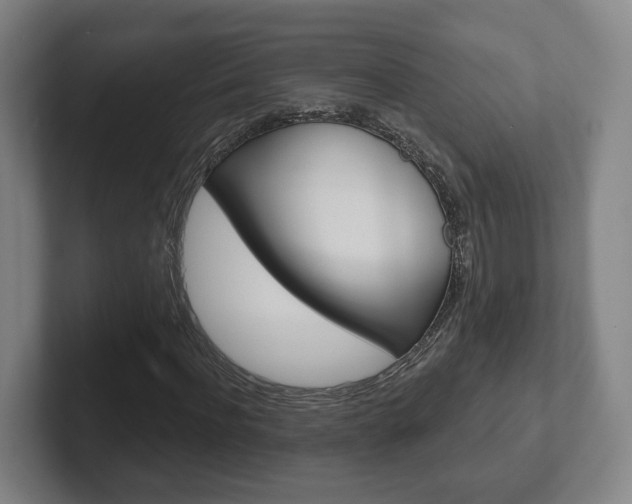 X0000102290916200807250958