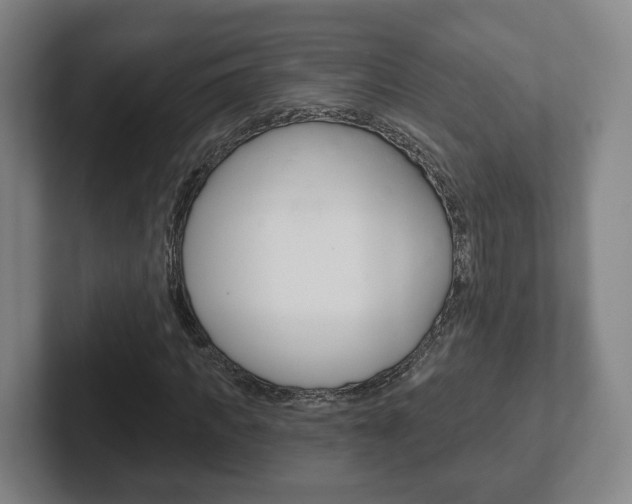 X0000102290917200807250958