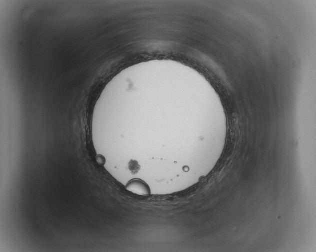 X0000102290918200807250958