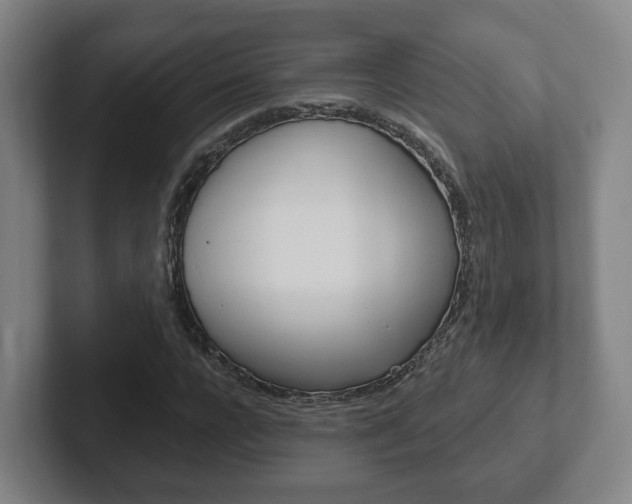 X0000102290920200807250958