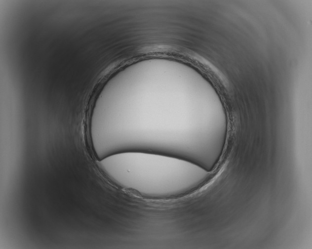 X0000102290921200807250958