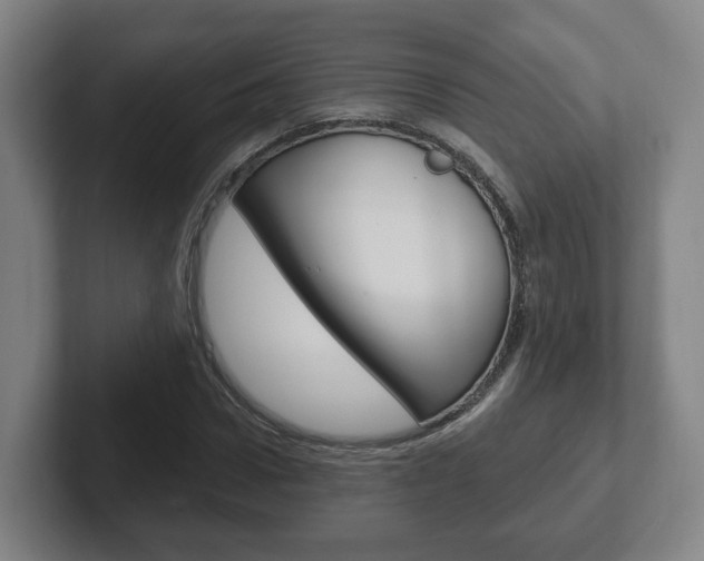 X0000102290922200807250958