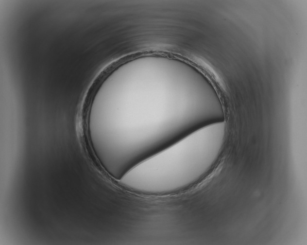 X0000102290924200807250958