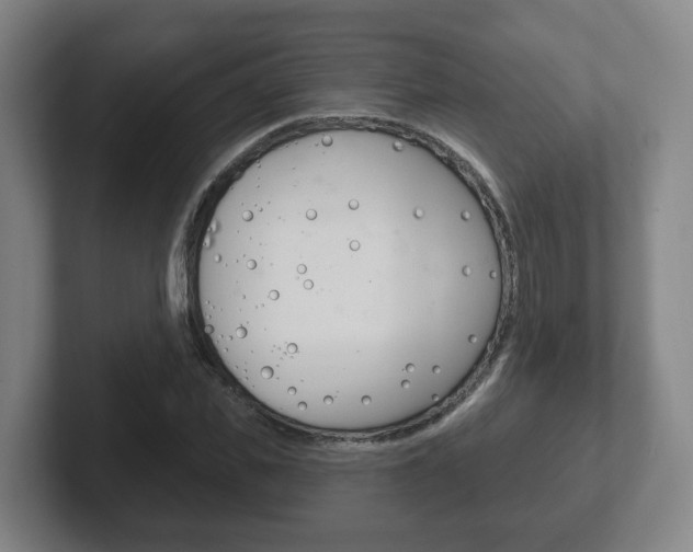 X0000102290925200807250958