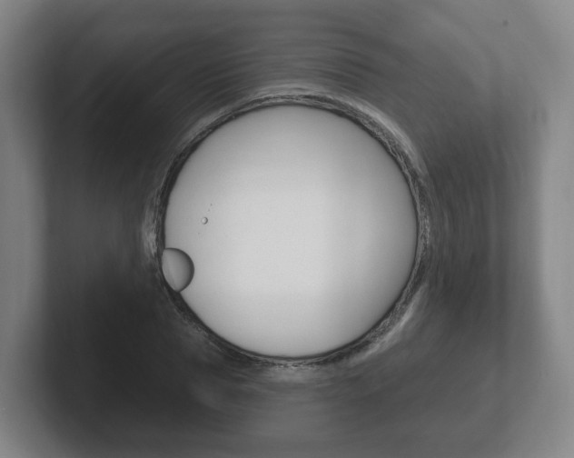 X0000102290929200807250958