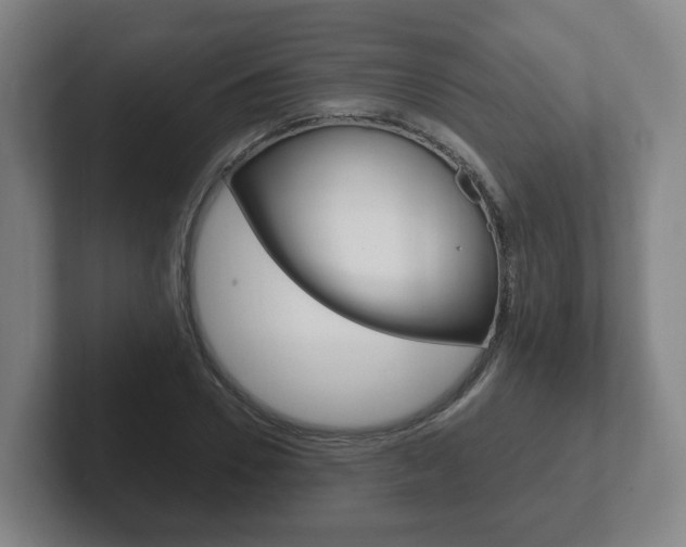 X0000102290930200807250958