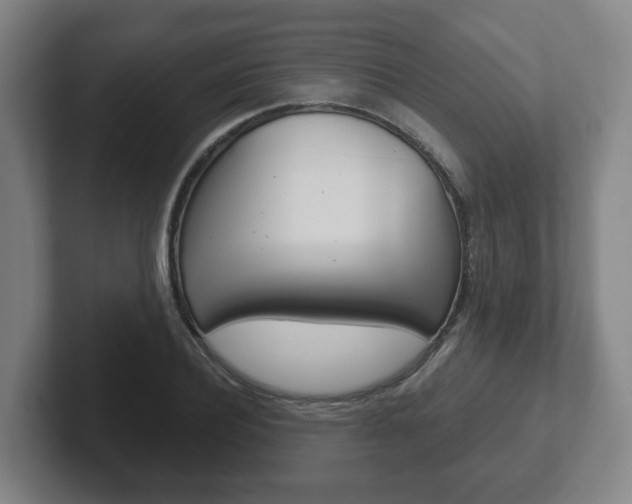 X0000102290932200807250958
