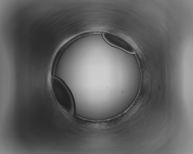 X0000102290936200807250958