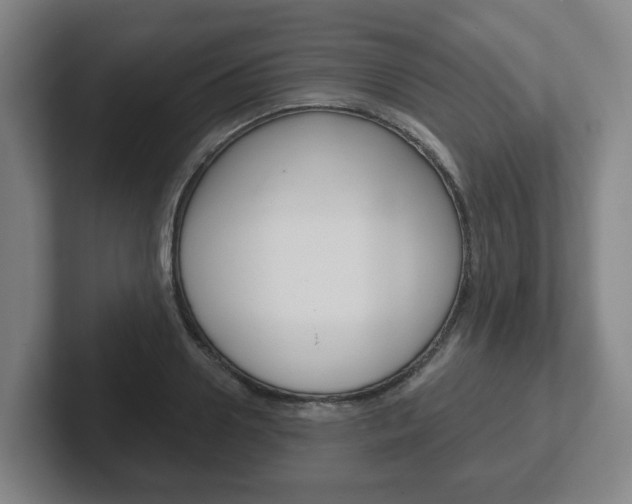 X0000102290938200807250958