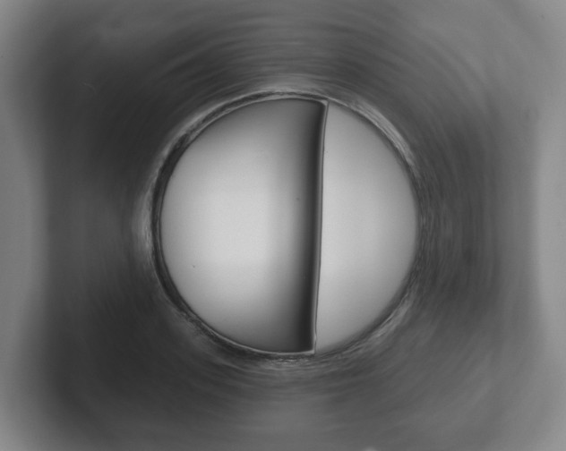 X0000102290939200807250958