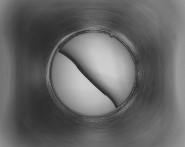 X0000102290940200807250958
