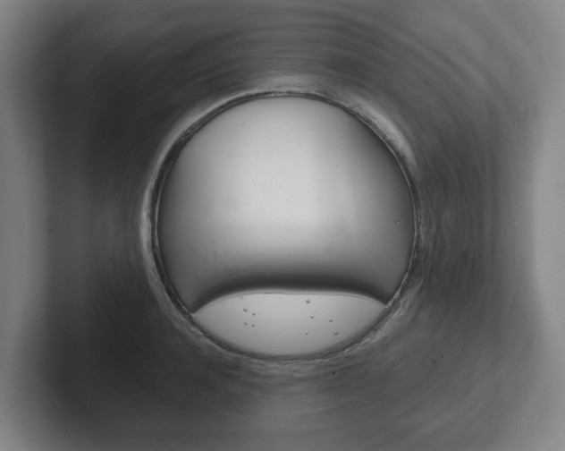 X0000102290944200807250958
