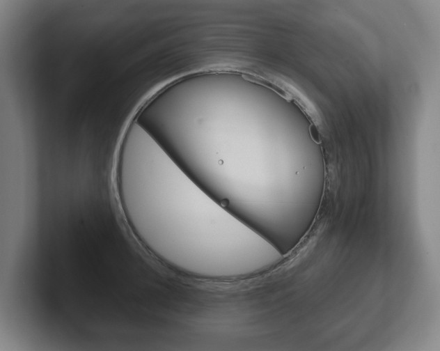 X0000102290948200807250958