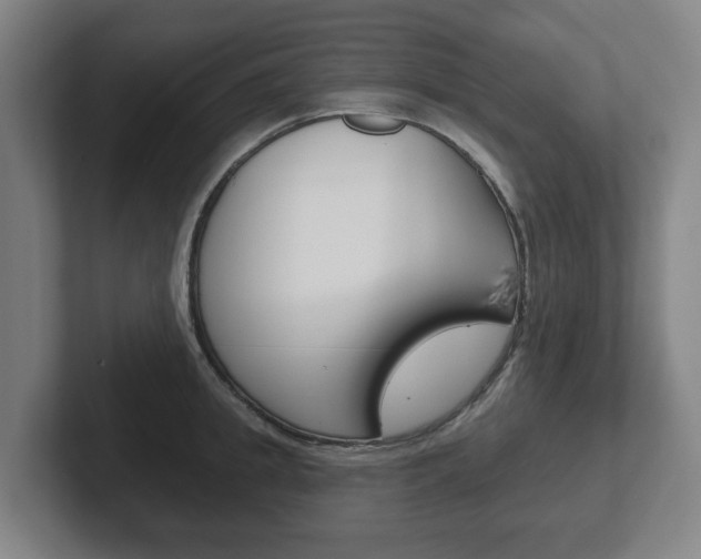 X0000102290949200807250958