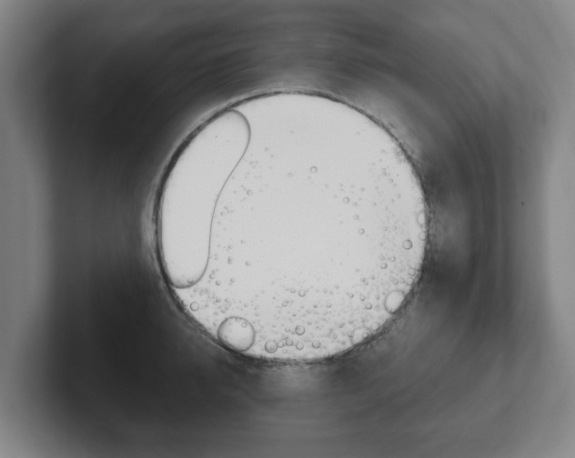 X0000102290950200807250958