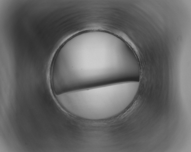 X0000102290951200807250958
