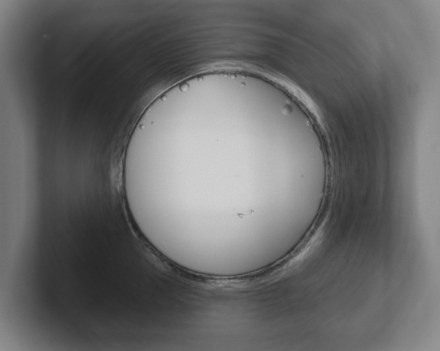 X0000102290953200807250958