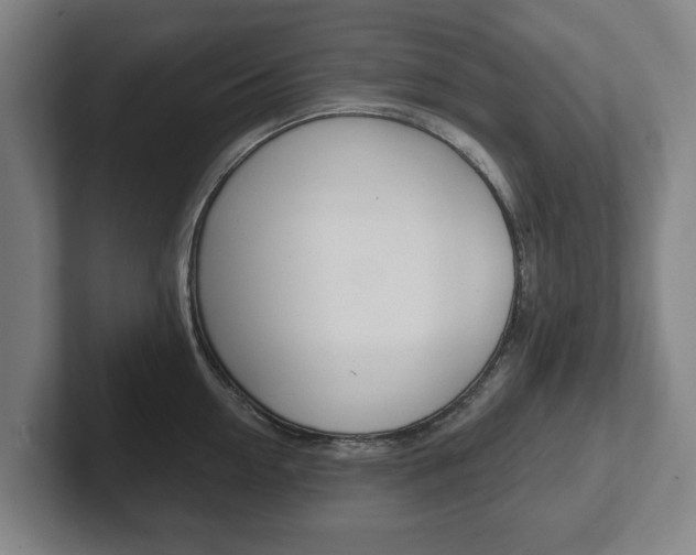 X0000102290954200807250958