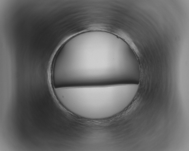 X0000102290955200807250958