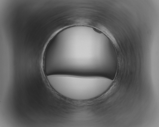 X0000102290956200807250958