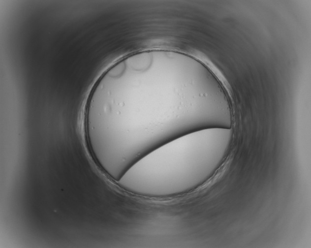 X0000102290957200807250958