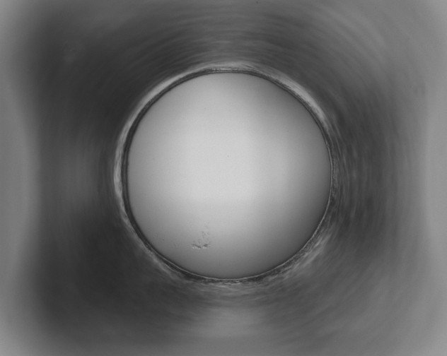 X0000102290959200807250958