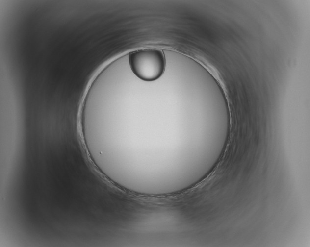 X0000102290960200807250958