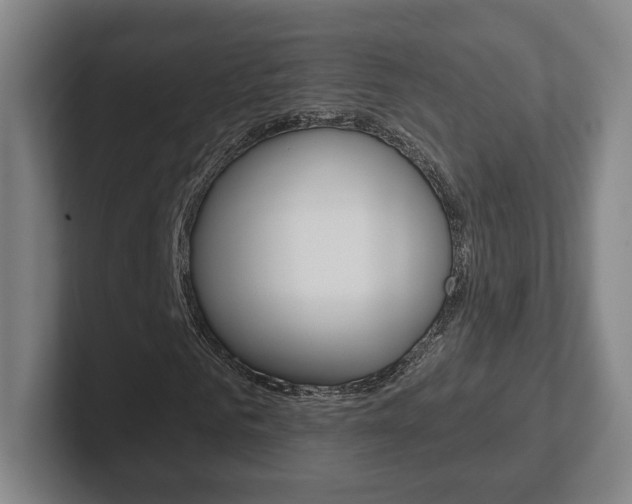 X0000102290961200807250958