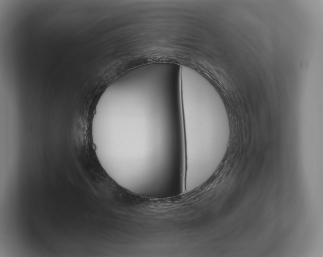 X0000102290964200807250958