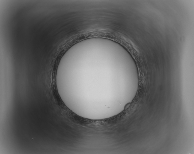 X0000102290966200807250958