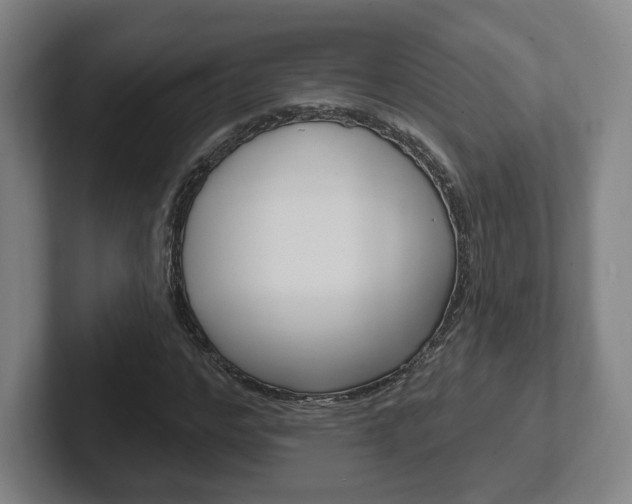 X0000102290968200807250958