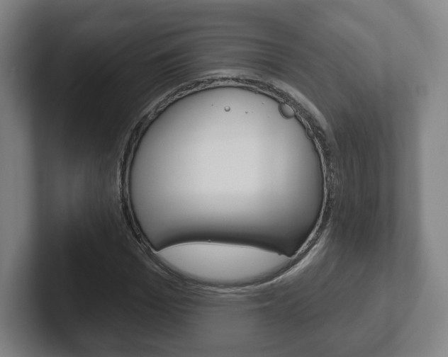 X0000102290969200807250958