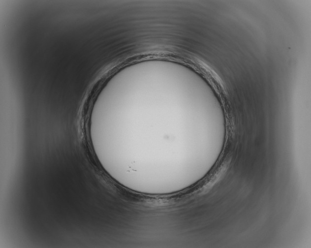 X0000102290970200807250958