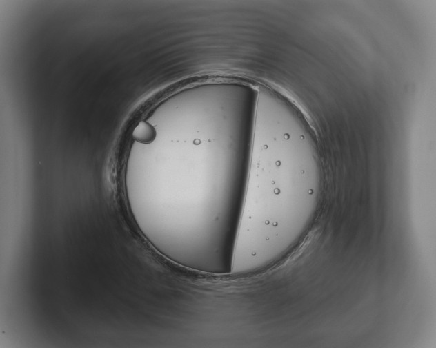 X0000102290971200807250958