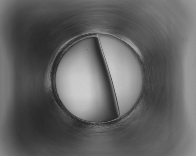 X0000102290972200807250958