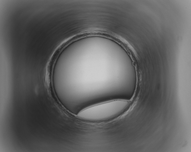 X0000102290973200807250957