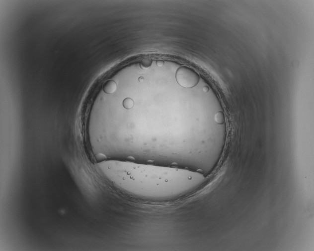 X0000102290974200807250957