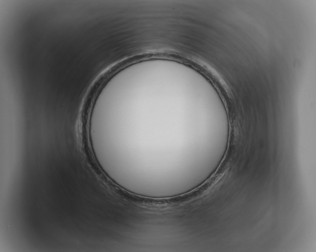 X0000102290975200807250957