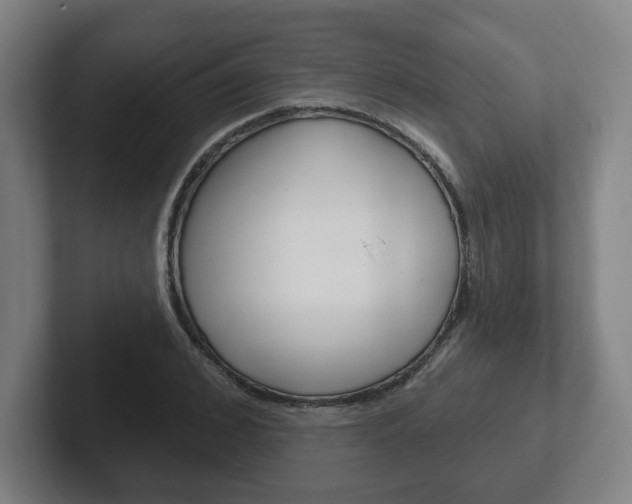 X0000102290976200807250957