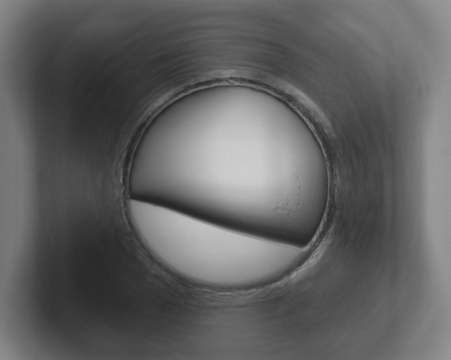 X0000102290977200807250957